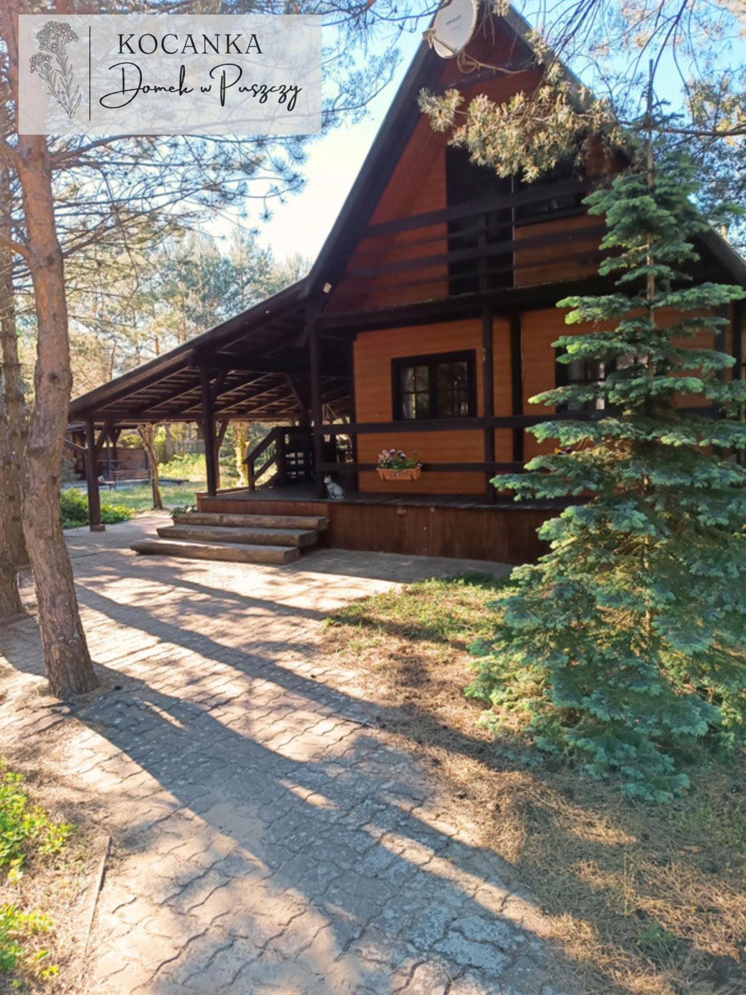 Domek W Puszczy ,,Kocanka" Mezyk Εξωτερικό φωτογραφία